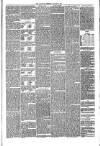 Annandale Observer and Advertiser Friday 28 January 1881 Page 3