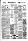 Annandale Observer and Advertiser Friday 18 February 1881 Page 1