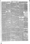 Annandale Observer and Advertiser Friday 18 March 1881 Page 3