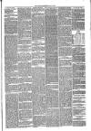 Annandale Observer and Advertiser Friday 06 May 1881 Page 3