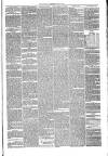 Annandale Observer and Advertiser Friday 15 July 1881 Page 3