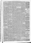 Annandale Observer and Advertiser Friday 20 January 1882 Page 3
