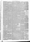 Annandale Observer and Advertiser Friday 03 March 1882 Page 3