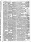 Annandale Observer and Advertiser Friday 10 March 1882 Page 3