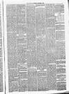 Annandale Observer and Advertiser Friday 01 December 1882 Page 3