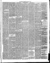 Annandale Observer and Advertiser Friday 23 February 1883 Page 3