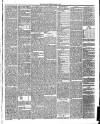 Annandale Observer and Advertiser Friday 02 March 1883 Page 3