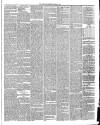 Annandale Observer and Advertiser Friday 09 March 1883 Page 3