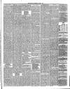 Annandale Observer and Advertiser Friday 30 March 1883 Page 3