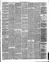 Annandale Observer and Advertiser Friday 01 June 1883 Page 3