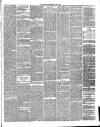 Annandale Observer and Advertiser Friday 08 June 1883 Page 3