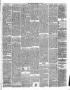 Annandale Observer and Advertiser Friday 20 July 1883 Page 3
