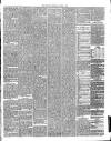 Annandale Observer and Advertiser Friday 02 November 1883 Page 3