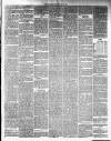 Annandale Observer and Advertiser Friday 23 May 1884 Page 3