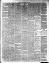 Annandale Observer and Advertiser Friday 24 October 1884 Page 3