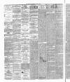 Annandale Observer and Advertiser Friday 09 January 1885 Page 2