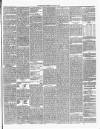 Annandale Observer and Advertiser Friday 09 January 1885 Page 3