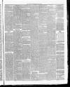 Annandale Observer and Advertiser Friday 16 January 1885 Page 3