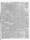 Annandale Observer and Advertiser Friday 23 January 1885 Page 3