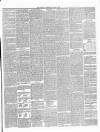 Annandale Observer and Advertiser Friday 30 January 1885 Page 3