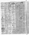 Annandale Observer and Advertiser Friday 06 February 1885 Page 2