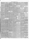 Annandale Observer and Advertiser Friday 13 March 1885 Page 3
