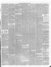 Annandale Observer and Advertiser Friday 10 April 1885 Page 3