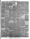 Annandale Observer and Advertiser Friday 08 January 1886 Page 3