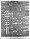 Annandale Observer and Advertiser Friday 29 January 1886 Page 3