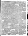 Annandale Observer and Advertiser Friday 22 April 1887 Page 3