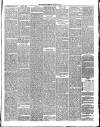 Annandale Observer and Advertiser Friday 24 February 1888 Page 3