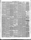 Annandale Observer and Advertiser Friday 16 March 1888 Page 3