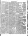 Annandale Observer and Advertiser Friday 30 March 1888 Page 3