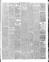 Annandale Observer and Advertiser Friday 06 April 1888 Page 3