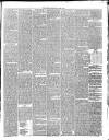Annandale Observer and Advertiser Friday 01 June 1888 Page 3