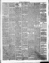 Annandale Observer and Advertiser Friday 08 March 1889 Page 3