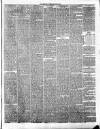 Annandale Observer and Advertiser Friday 28 June 1889 Page 3