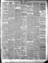 Annandale Observer and Advertiser Friday 27 December 1889 Page 3