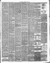 Annandale Observer and Advertiser Friday 23 May 1890 Page 3