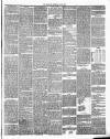 Annandale Observer and Advertiser Friday 20 June 1890 Page 3