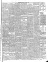 Annandale Observer and Advertiser Friday 16 January 1891 Page 3