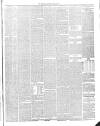 Annandale Observer and Advertiser Friday 20 March 1891 Page 3