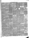 Annandale Observer and Advertiser Friday 01 January 1892 Page 3