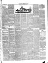 Annandale Observer and Advertiser Friday 06 May 1892 Page 3