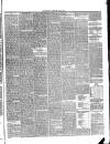 Annandale Observer and Advertiser Friday 27 May 1892 Page 3