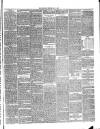 Annandale Observer and Advertiser Friday 01 July 1892 Page 3