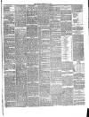 Annandale Observer and Advertiser Friday 08 July 1892 Page 3