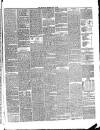 Annandale Observer and Advertiser Friday 22 July 1892 Page 3