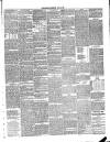 Annandale Observer and Advertiser Friday 29 July 1892 Page 3