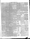 Annandale Observer and Advertiser Friday 26 August 1892 Page 3